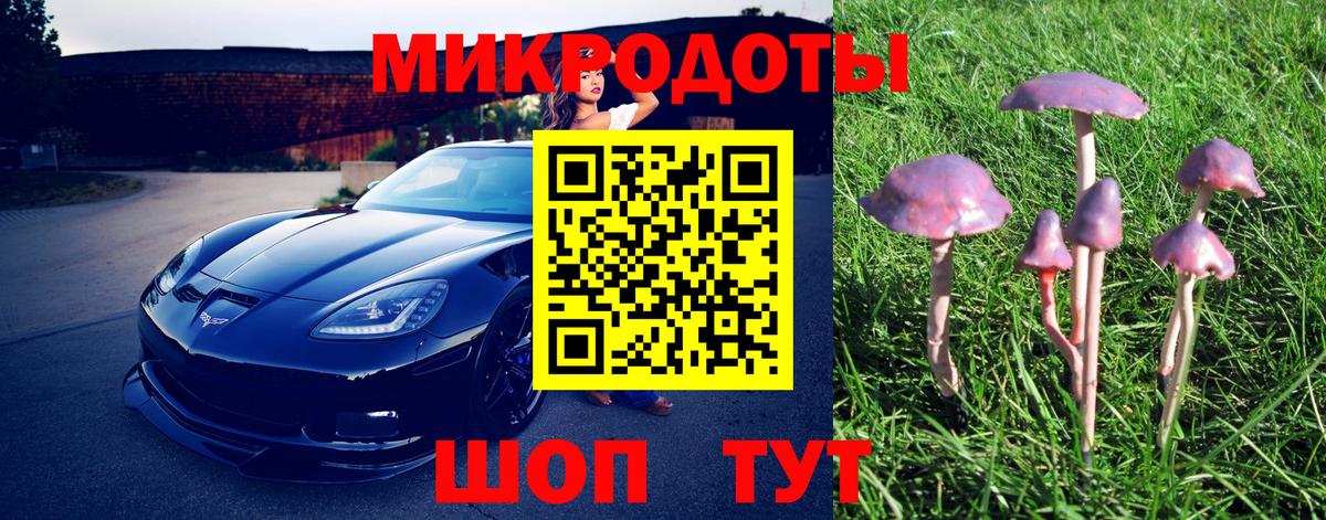 Псилоцибиновые грибы Magic Shrooms Тольятти
