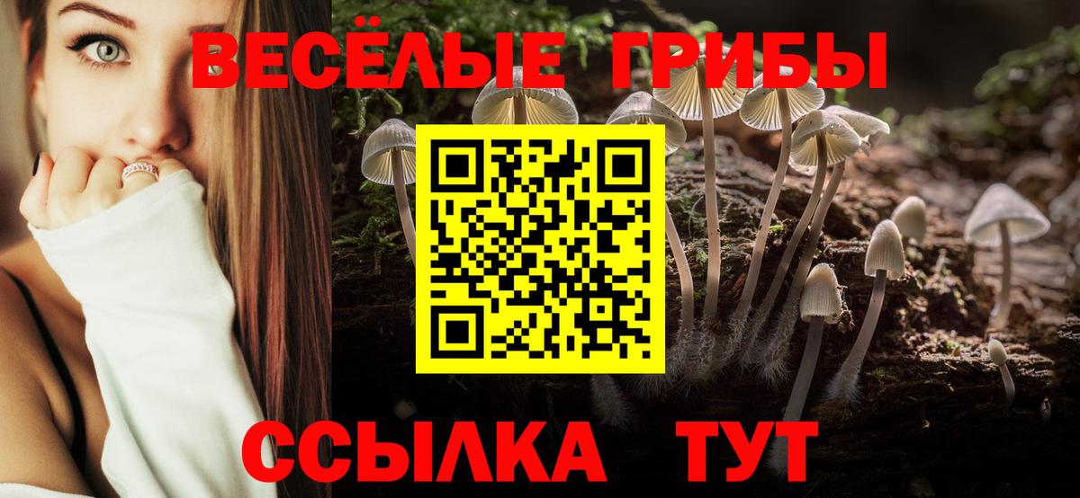 Псилоцибиновые грибы Cubensis Тольятти