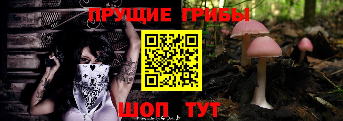 Псилоцибиновые грибы Psilocybine cubensis  Галлюциногенные грибы Cubensis  Тольятти 