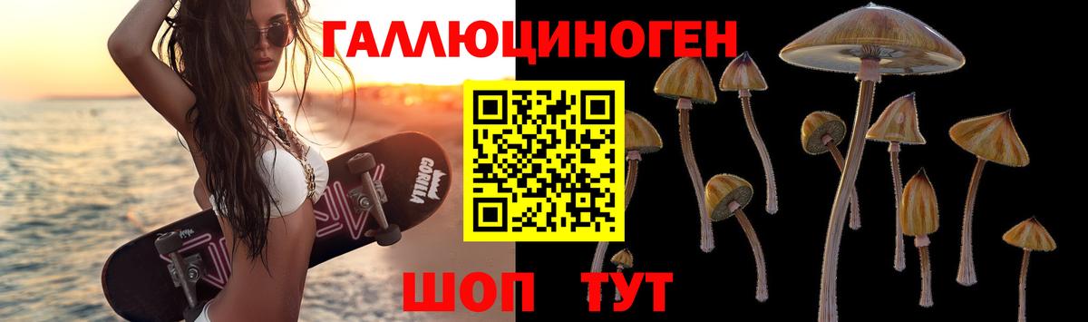 Псилоцибиновые грибы Psilocybine cubensis  Псилоцибиновые грибы ЛСД  Тольятти  Вход с VPN 